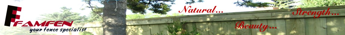 Family Fencers Banner